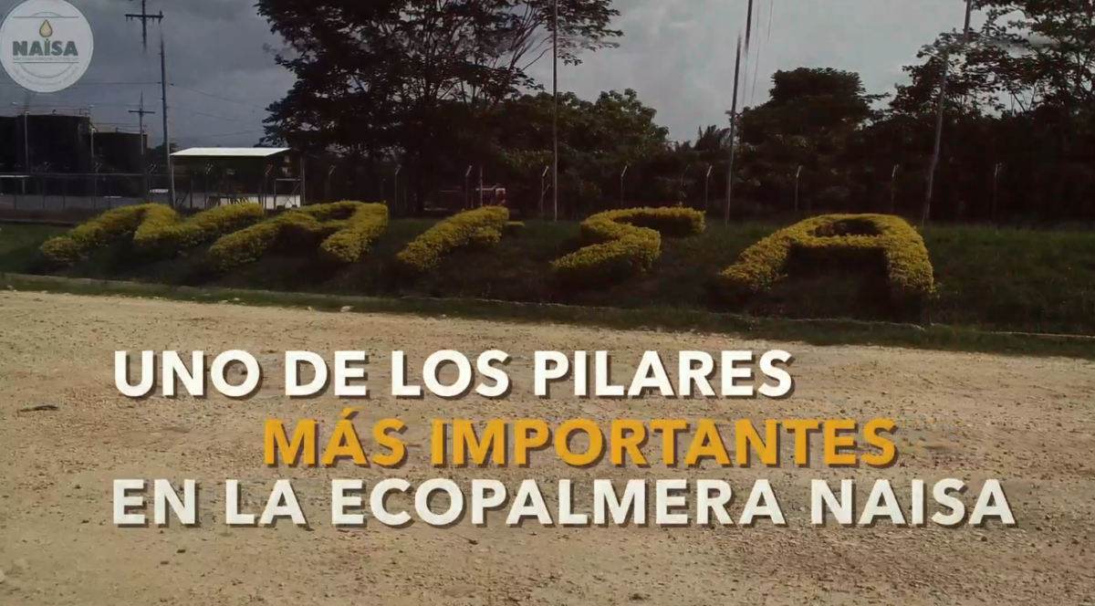 Uno de los pilares más importantes en la ecopalmera NAISA imagen