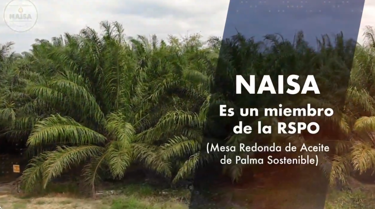 NAISA es un miembro de la RSPO imagen
