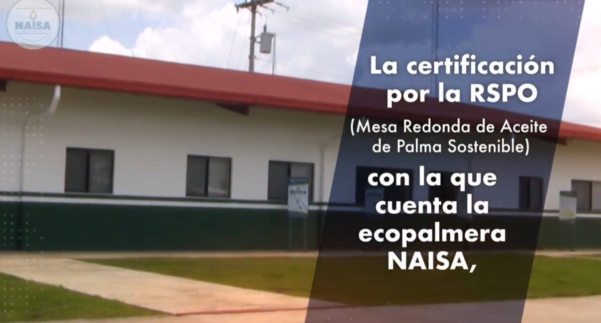 La certificación por la RSPO, NAISA imagen