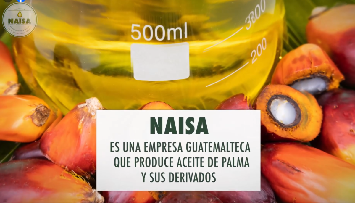 NAISA es una empresa guatemalteca que produce aceite de palma y sus derivados imagen