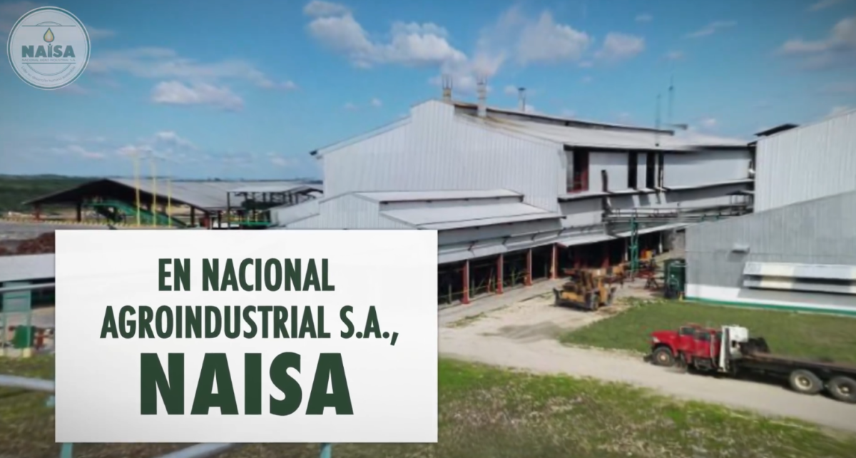 NAISA nuestros esfuerzos van dirigidos en proteger y preservar la naturaleza de país imagen