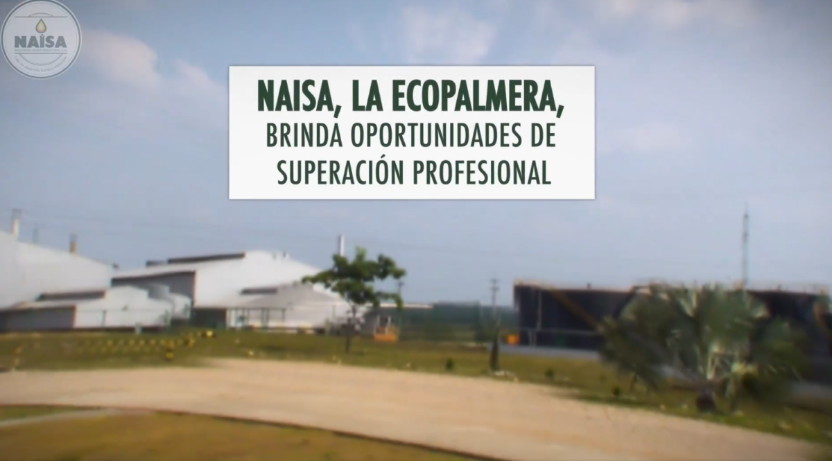 NAISA, la ecopalmera, brinda oportunidades de superación profesinal imagen