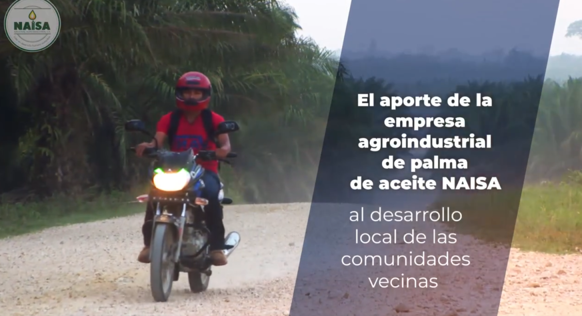 El aporte de la empresa agroindustrial de palma de aceite NAISA imagen