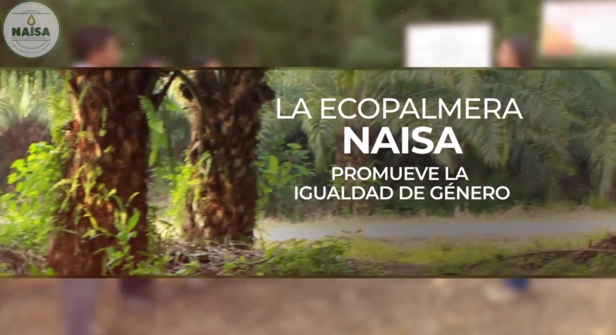 La ecopalmera NAISA promueve la igualdad de género imagen