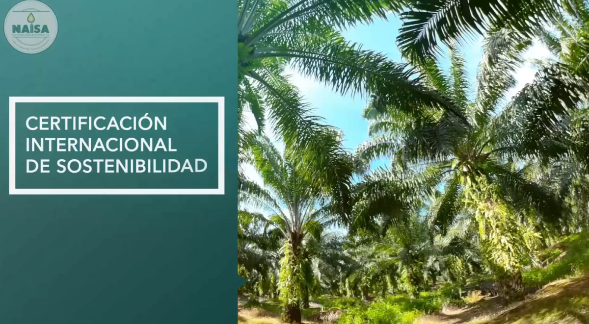 Certificación Internacional de Sostenibilidad imagen