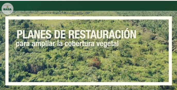 Planes de restauración para ampliar la cobertura vegetal imagen