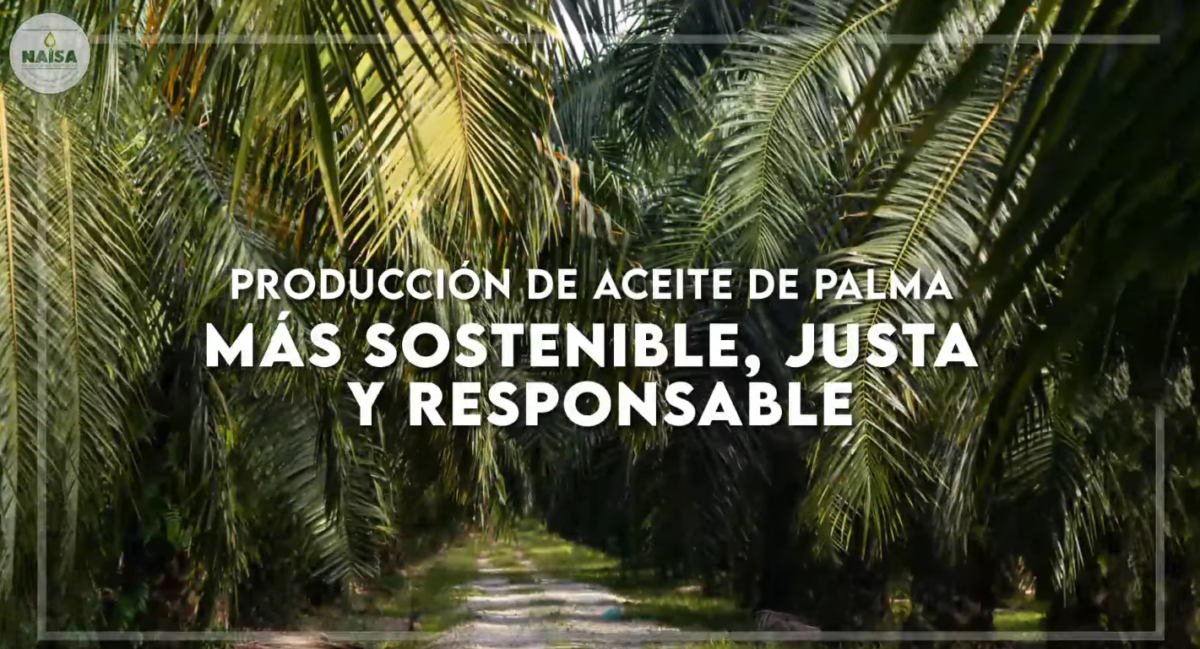 Producción de Aceite de Palma más sostenible, justa y responsable imagen