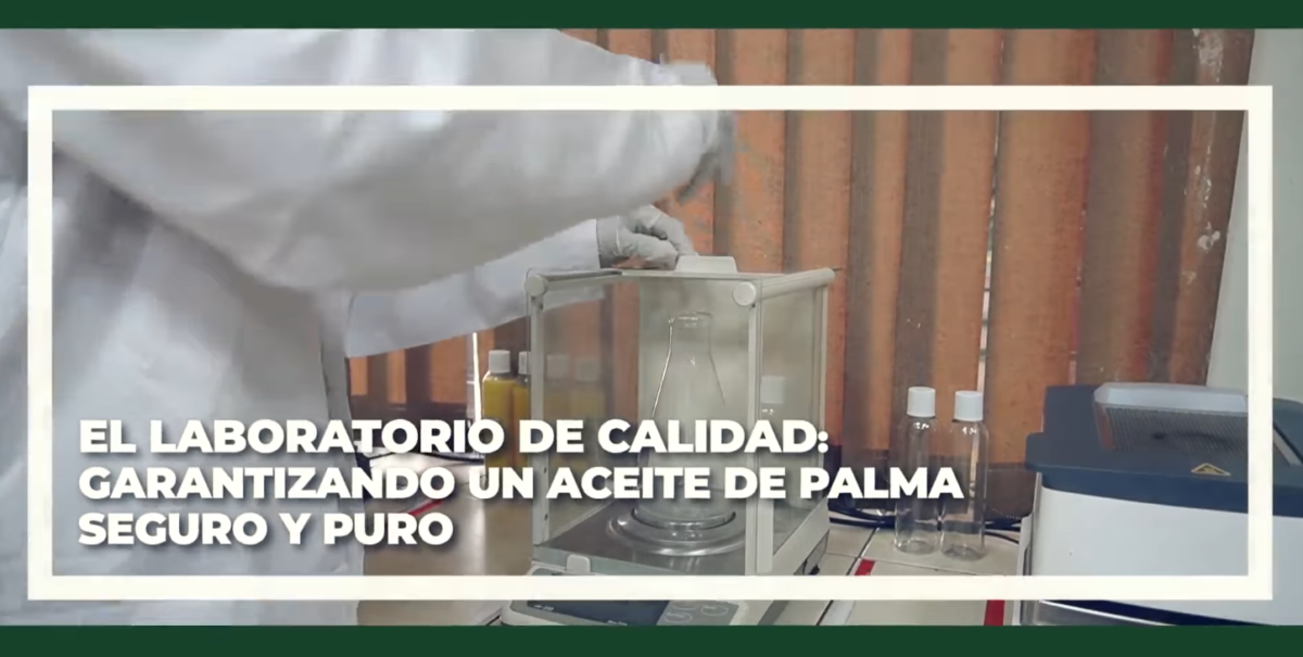 En laboratorio de calidad: garantizando un aceite de palma seguro y puro imagen