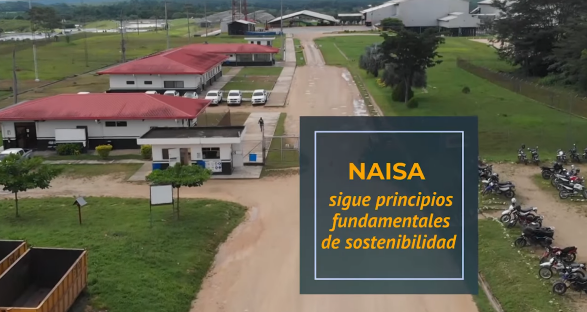 NAISA sigue principios fundamentales de sostenibilidad imagen