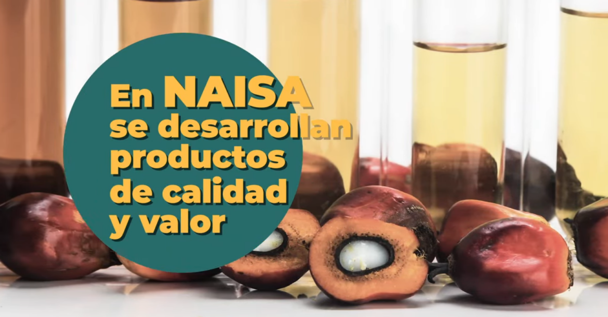 En NAISA se desarrollan productos de calidad y valor imagen