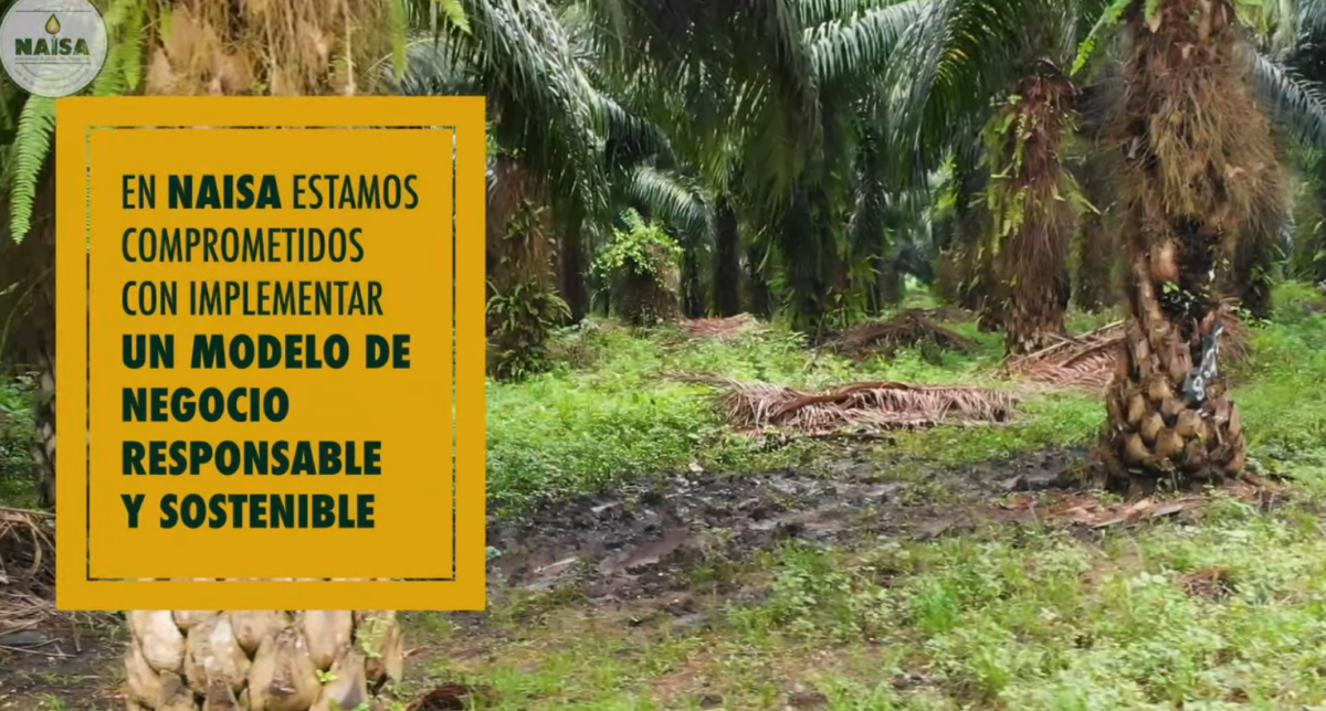 En NAISA estamos comprometdos con implementar un modelo de negocio responsable y sostenible imagen