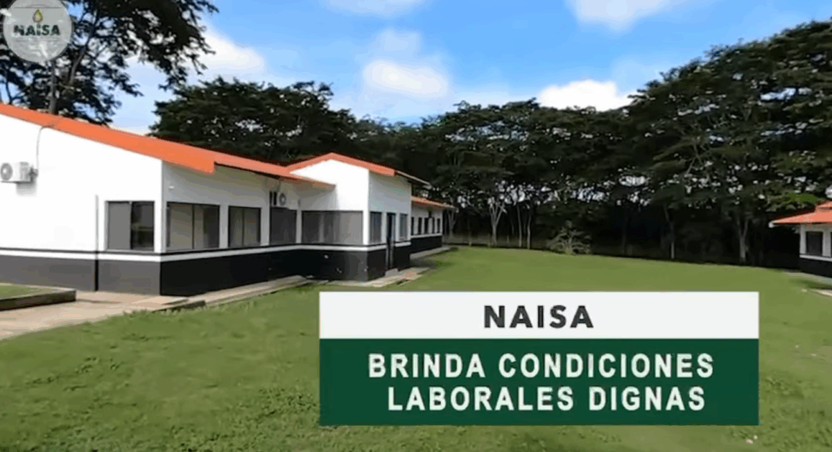 NAISA brinda condiciones laborales dignas imagen