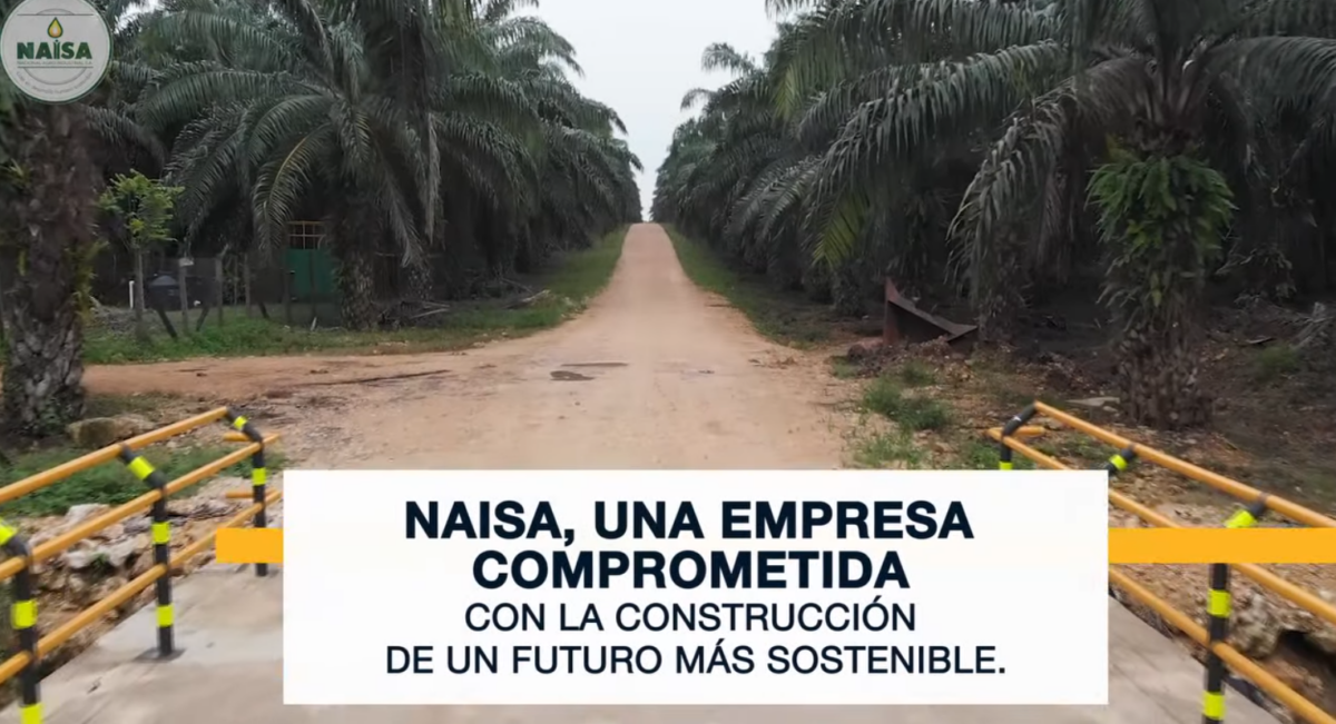 NAISA, una empresa comprometida con la construcción de un futuro más sostenible imagen